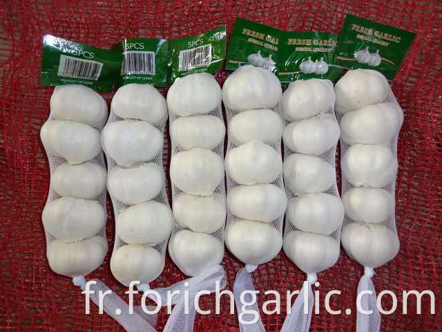 Pure White Garlic